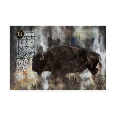 Marta Wiley 'Buffalo Abstract' Canvas Art,30x47